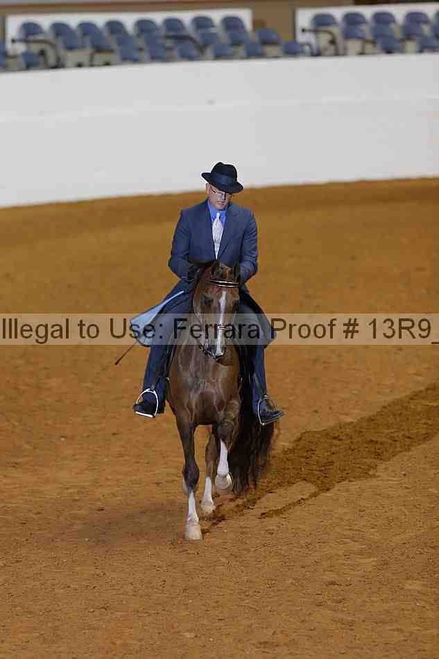 Proof 13r9_0156