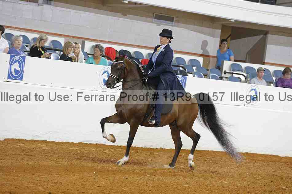 Proof 13r9_0157