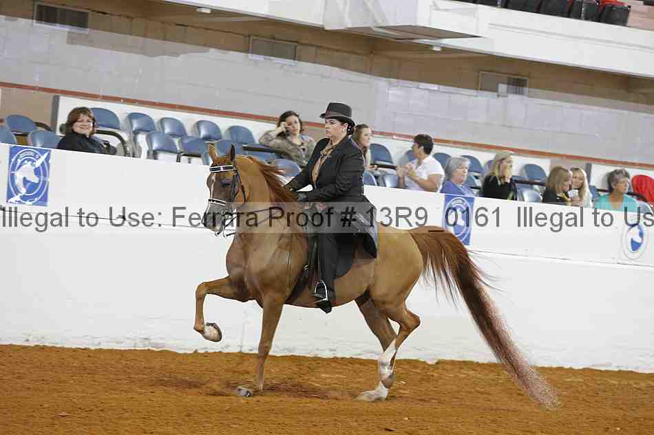 Proof 13r9_0161