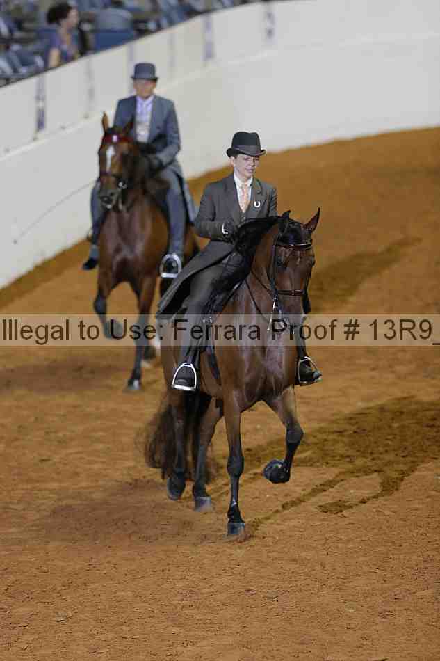 Proof 13r9_0162