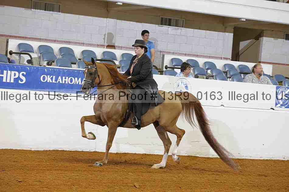 Proof 13r9_0163