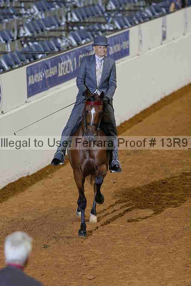 Proof 13r9_0164