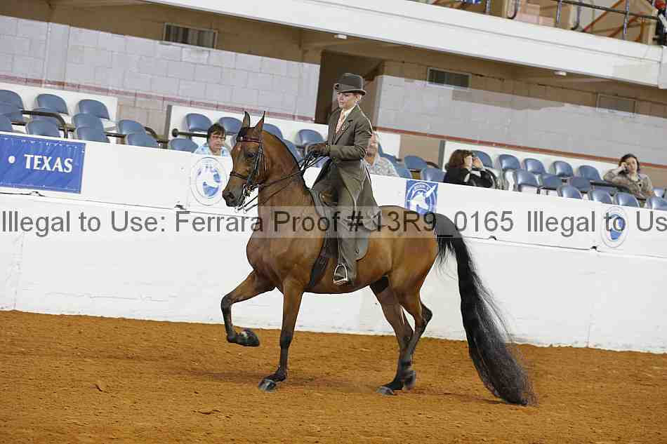 Proof 13r9_0165