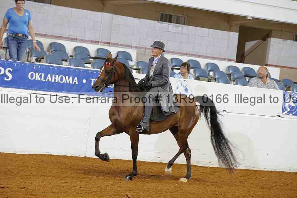 Proof 13r9_0166