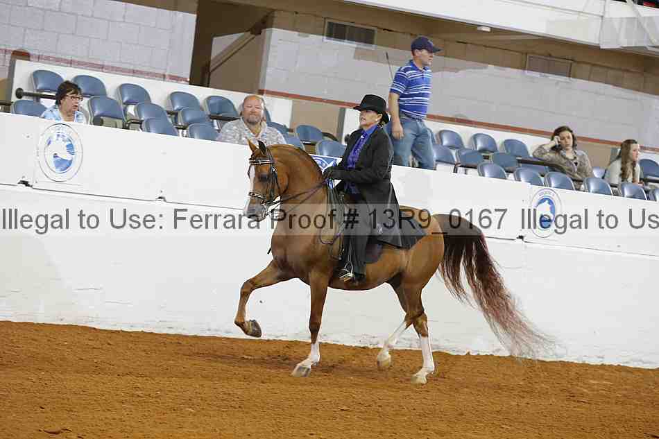 Proof 13r9_0167
