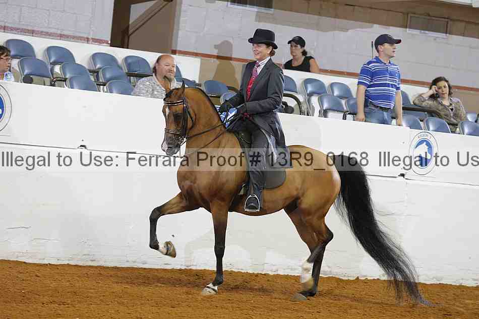 Proof 13r9_0168