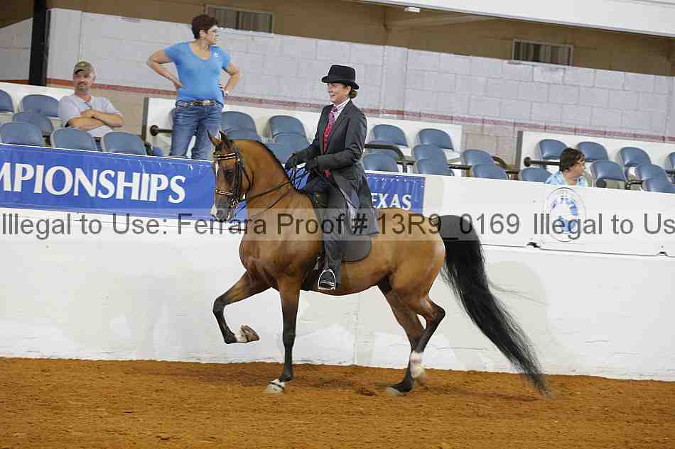 Proof 13r9_0169