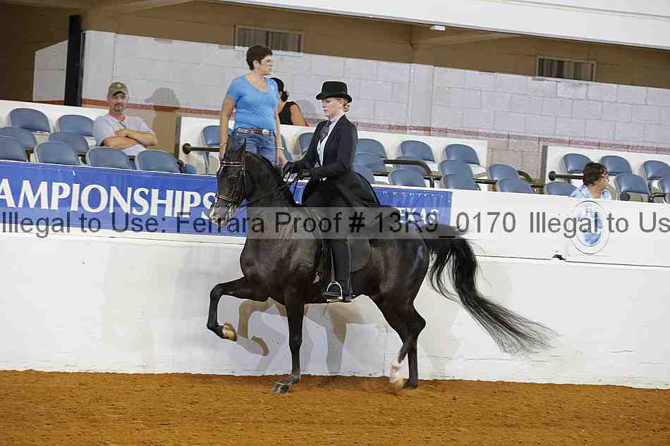 Proof 13r9_0170