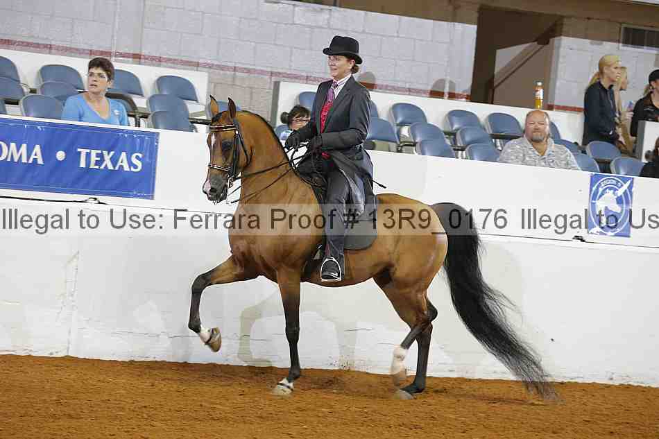 Proof 13r9_0176