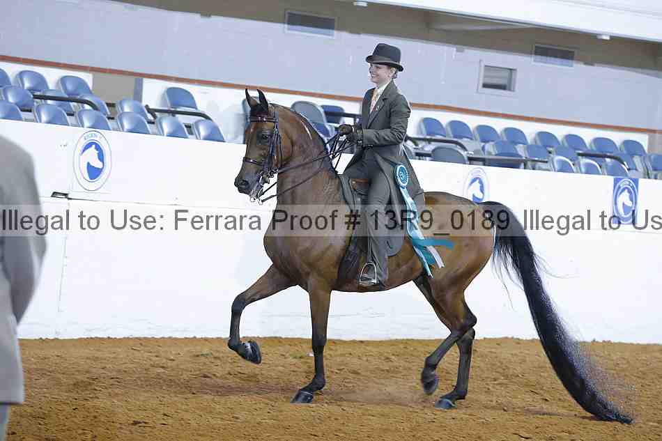 Proof 13r9_0189