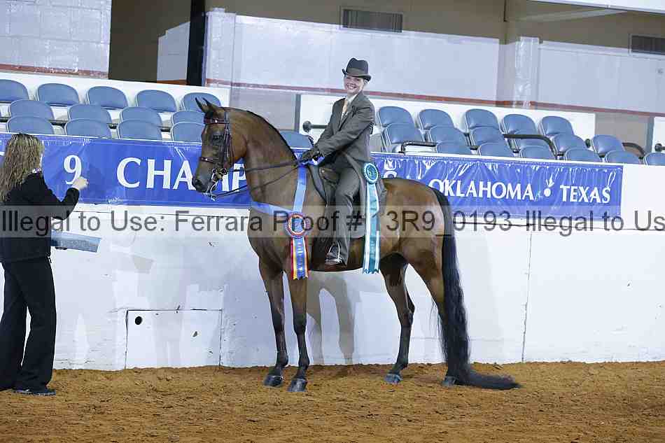 Proof 13r9_0193