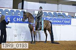 13r9_0193 proof