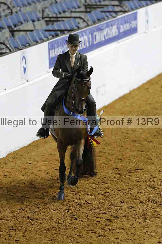 Proof 13r9_0194