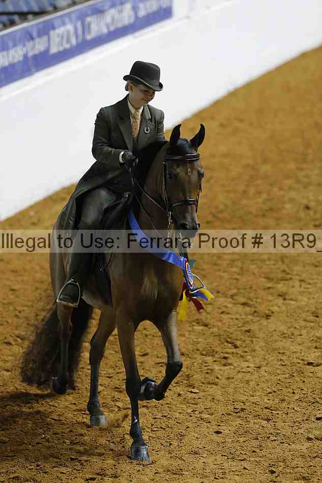 Proof 13r9_0195