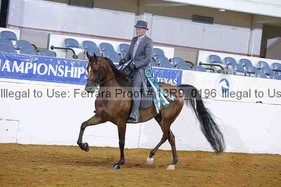 Proof 13r9_0196