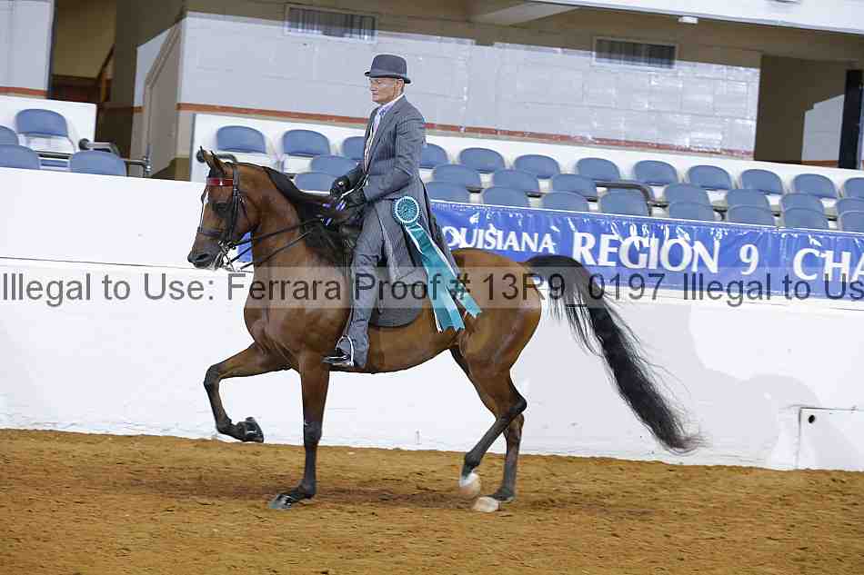 Proof 13r9_0197
