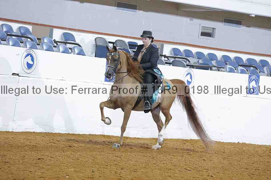 Proof 13r9_0198