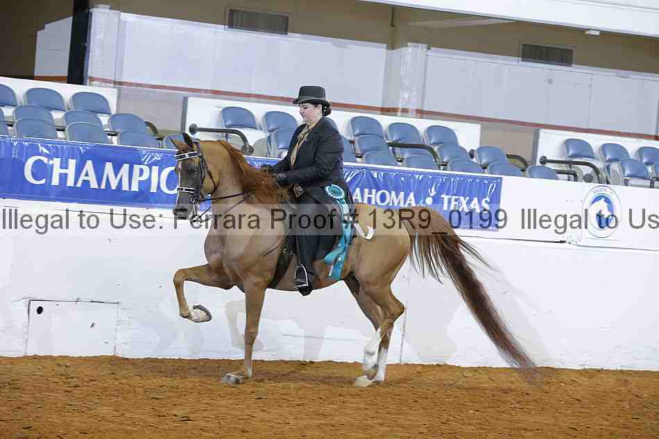 Proof 13r9_0199