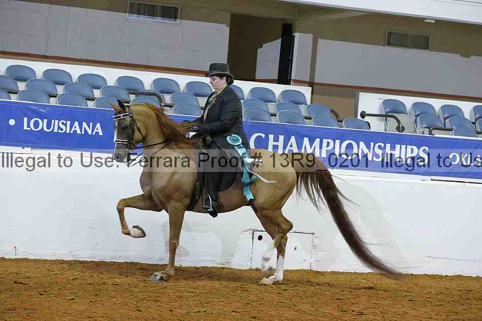Proof 13r9_0201