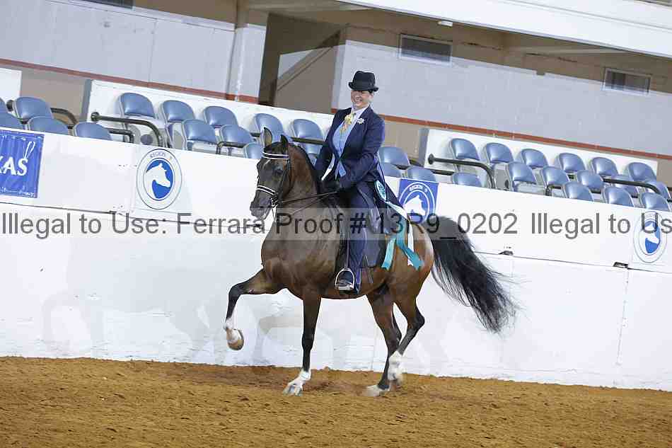 Proof 13r9_0202
