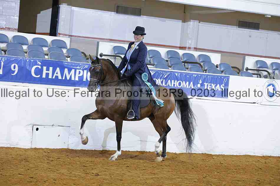 Proof 13r9_0203