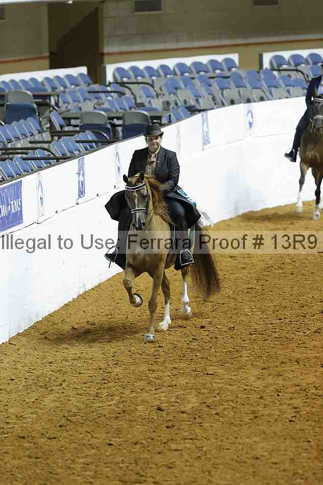 Proof 13r9_0204