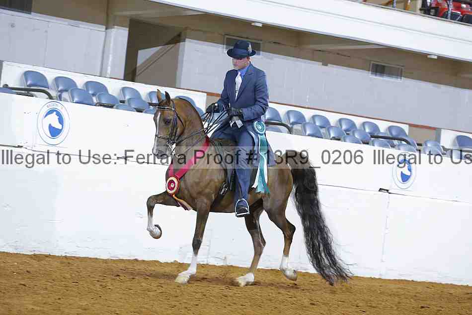 Proof 13r9_0206