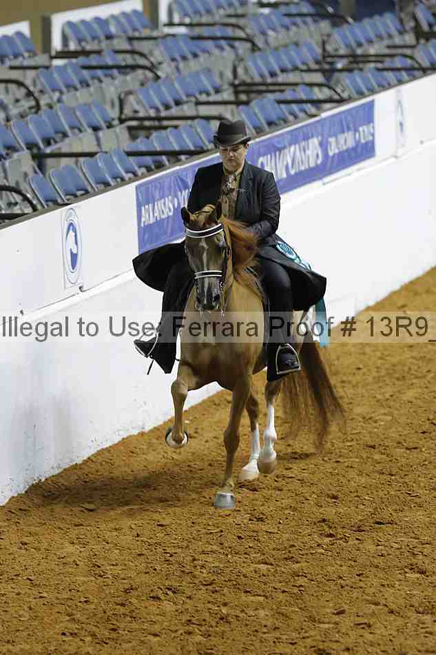 Proof 13r9_0207