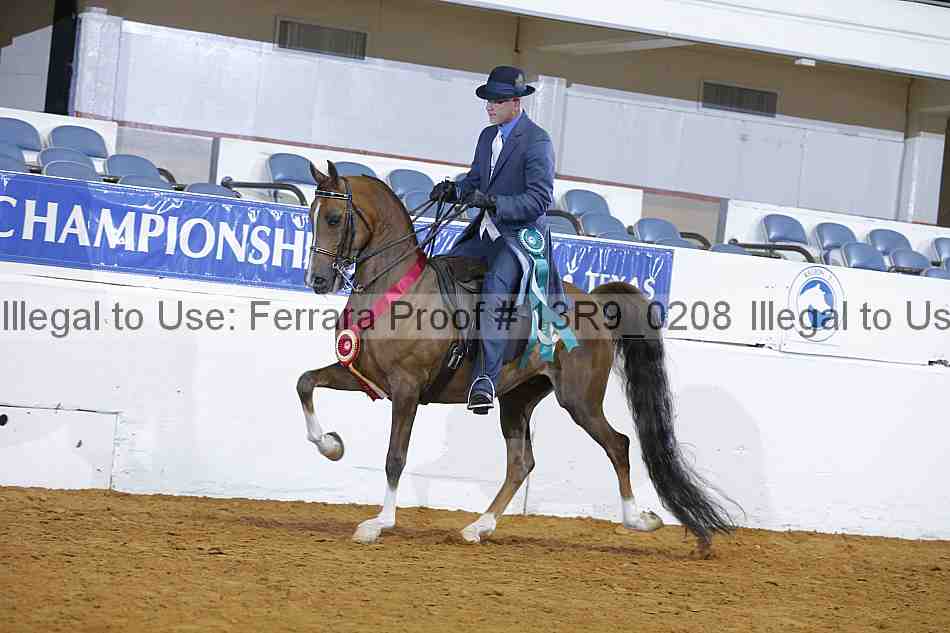Proof 13r9_0208