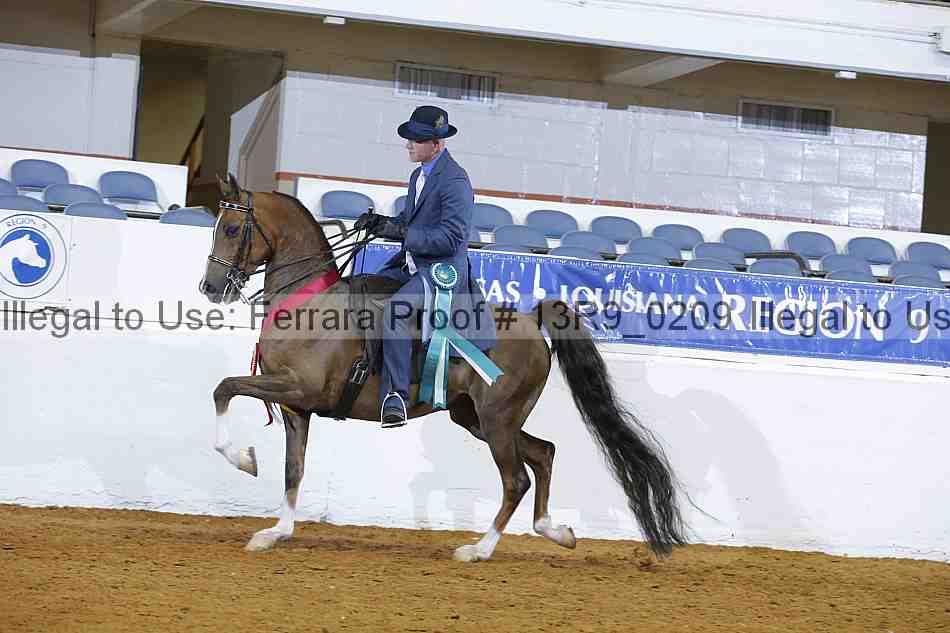 Proof 13r9_0209