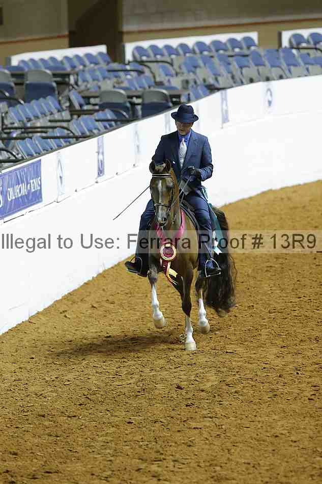 Proof 13r9_0211