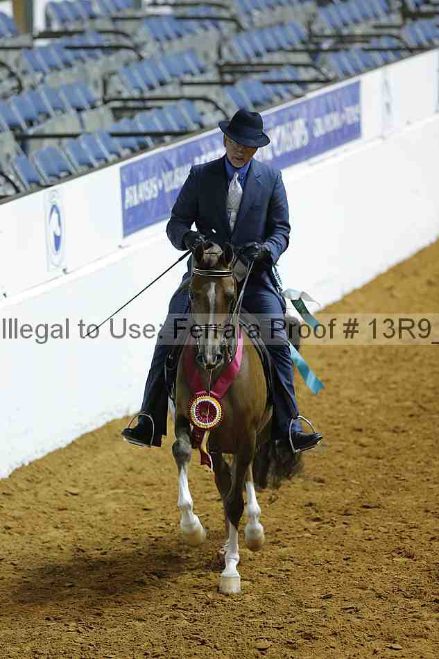 Proof 13r9_0213