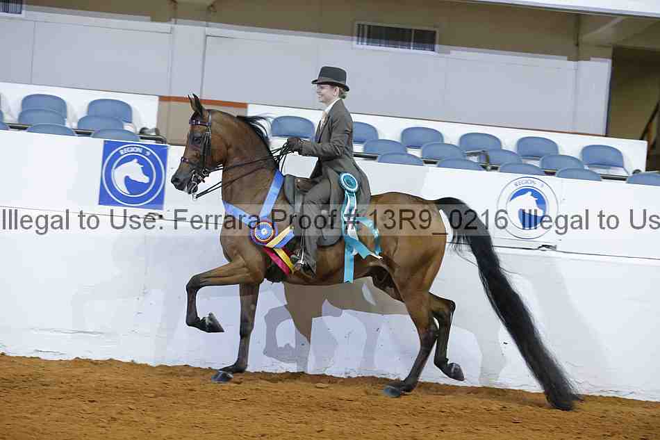 Proof 13r9_0216
