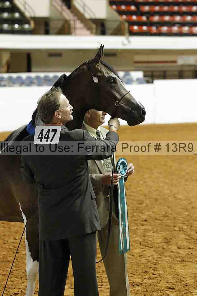 Proof 13r9_0115