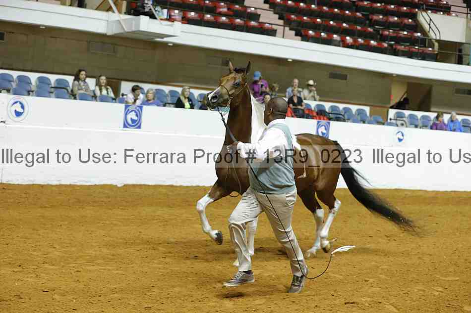 Proof 13r9_0223