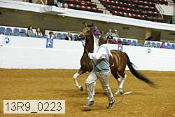13r9_0223 proof