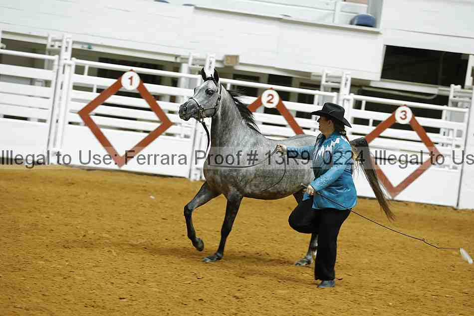 Proof 13r9_0224