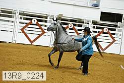 13r9_0224 proof