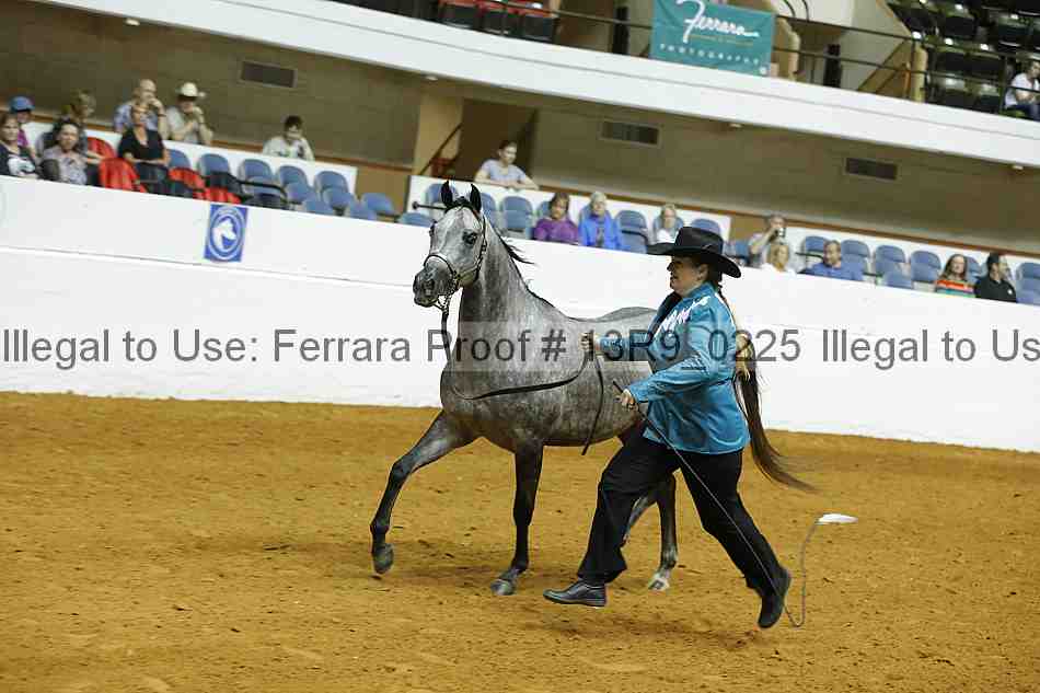 Proof 13r9_0225