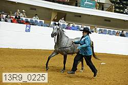 13r9_0225 proof