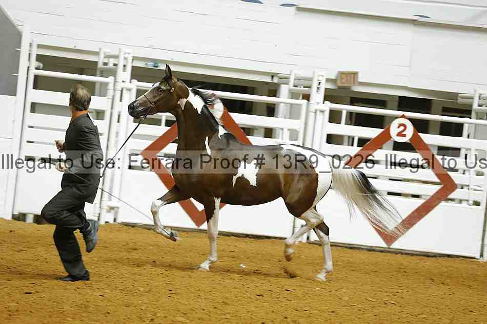 Proof 13r9_0226
