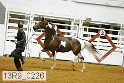 13r9_0226 proof