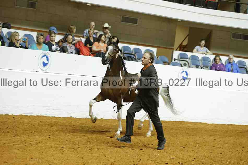 Proof 13r9_0227