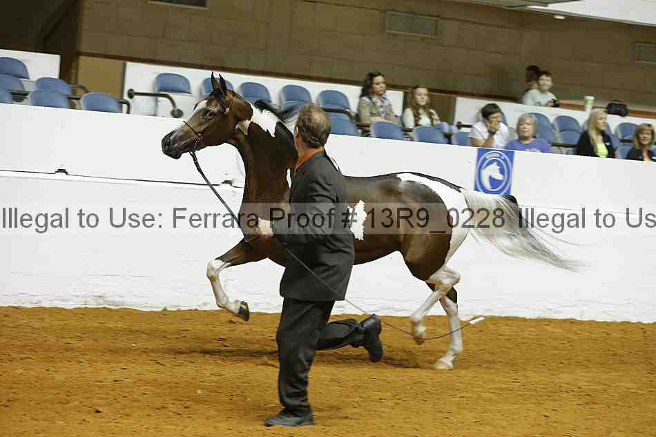 Proof 13r9_0228