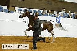 13r9_0228 proof