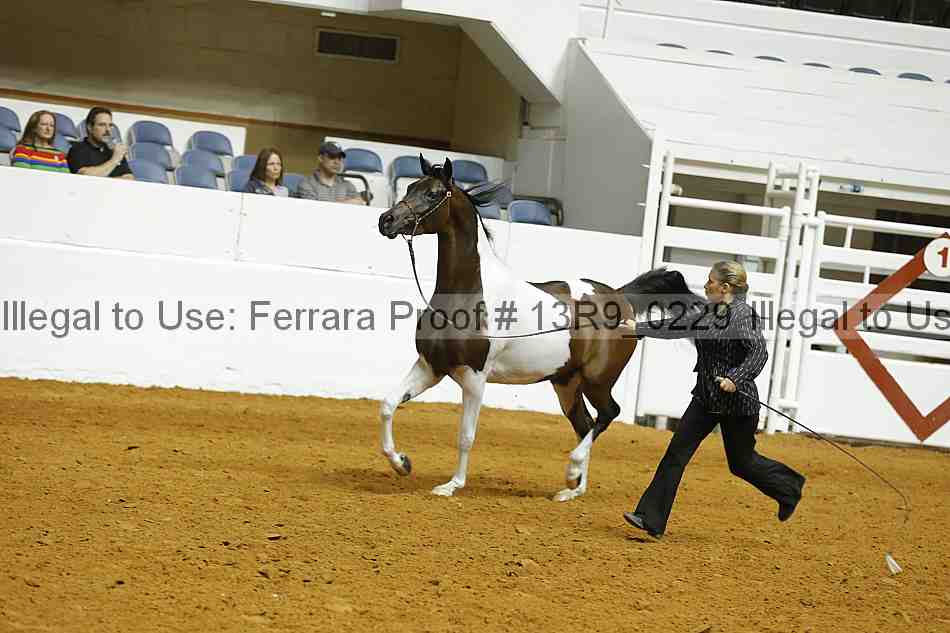 Proof 13r9_0229