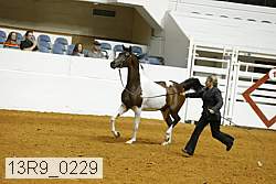 13r9_0229 proof