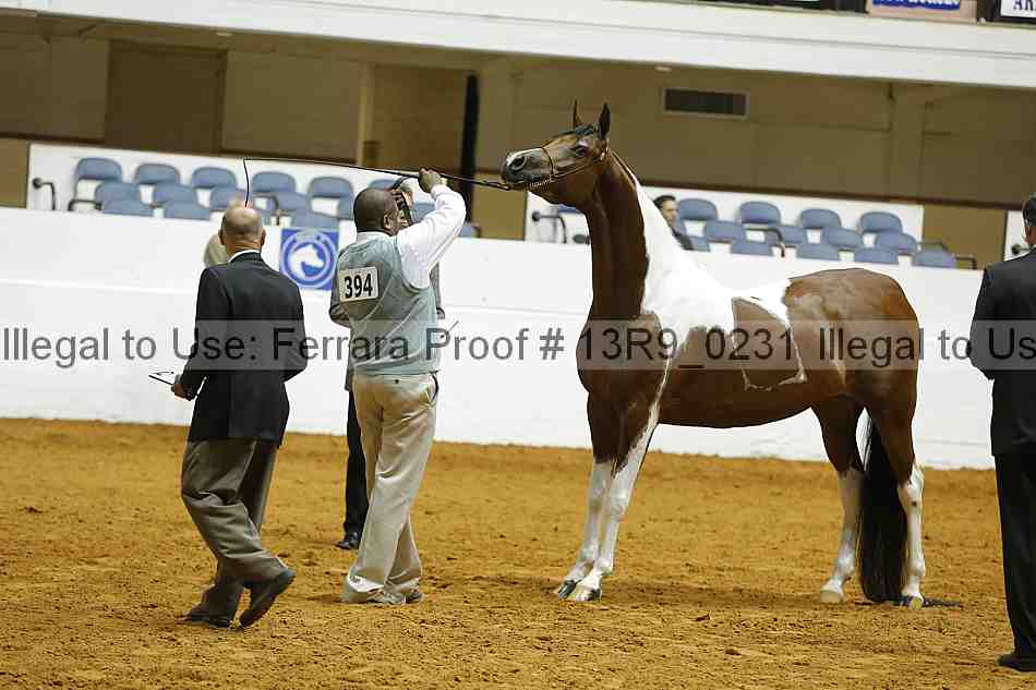 Proof 13r9_0231
