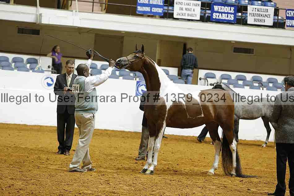 Proof 13r9_0234