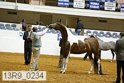 13r9_0234 proof